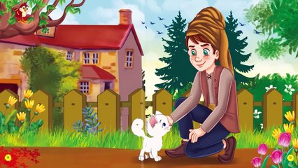 Said Nursi - Türkçe