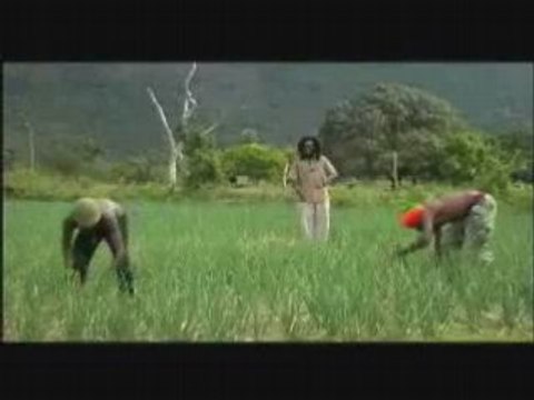 Chezidek, Jah Mason & Israel Voice - Farm Land medley