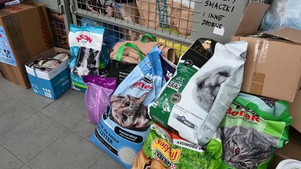 20231212_AnetaKolesińska_GW_Zwierzę jako prezenty