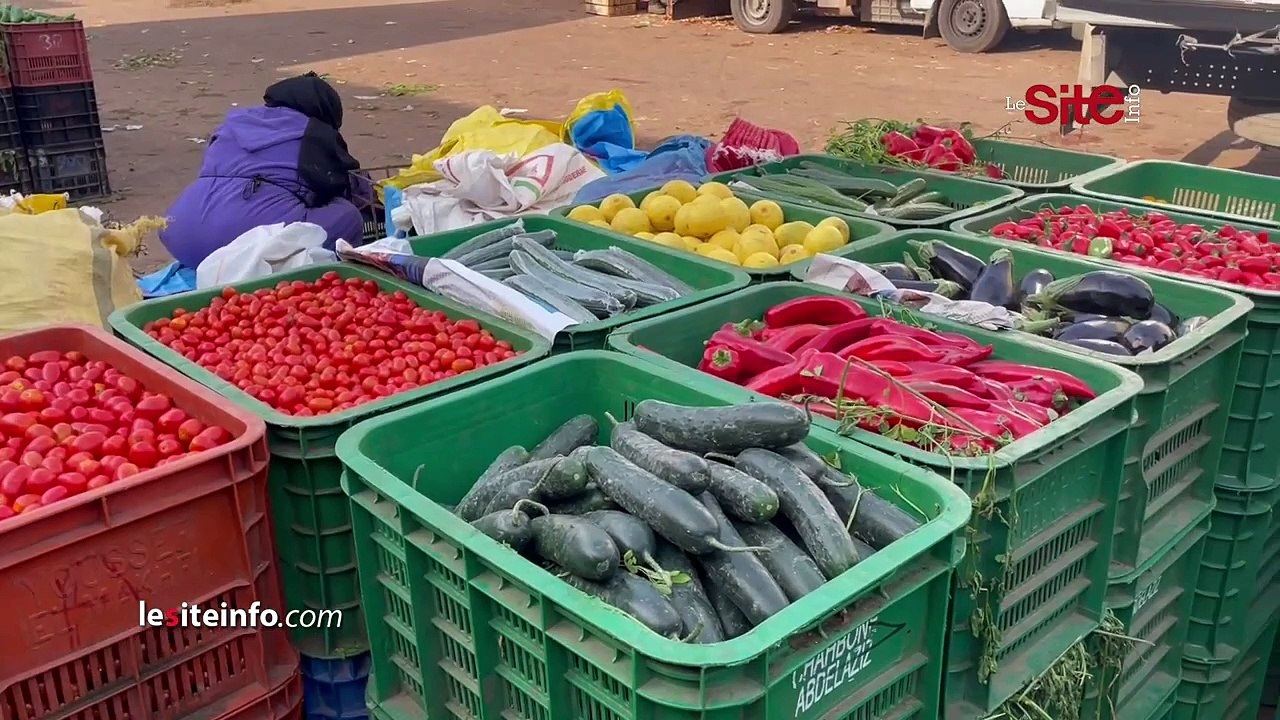 بلغ ثمنها 15 درهما.. مهنيون بسوق الجملة بالبيضاء يكشفون أسباب ارتفاع أسعار الطماطم