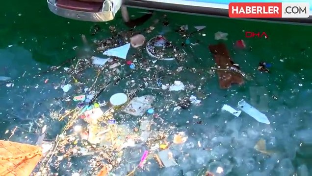 İstanbul Boğazı'nda Denizanası ve Kirlilik Sorunu
