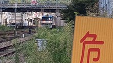 PXL_20230826_043142438 (R)2