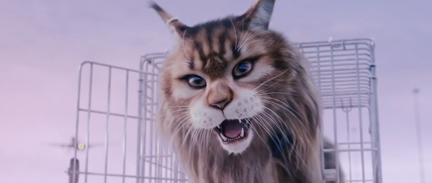 Chien et chat : nouvelle bande-annonce (avec Franck Dubosc et Philippe Lacheau)