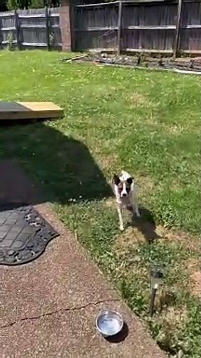 Princess loVes going outside