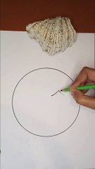 Beautiful Circle Drawing II Pencil Drawing Video