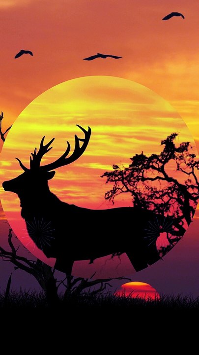 deer