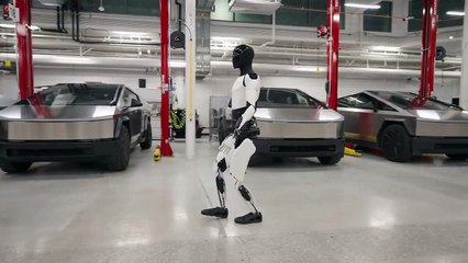Tesla Robot Optimus