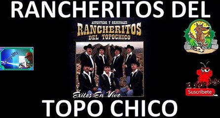 Los rancheritos del topo chico boleros de cachetito minimix pra ti