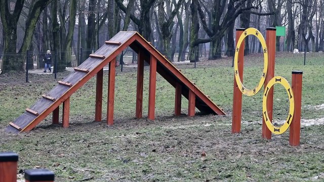 Dziennik Zachodni / Bytom - wybieg dla psów / Marzena Bugała-Astaszow_