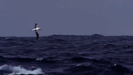 WHO IS GOING TO HELP US?