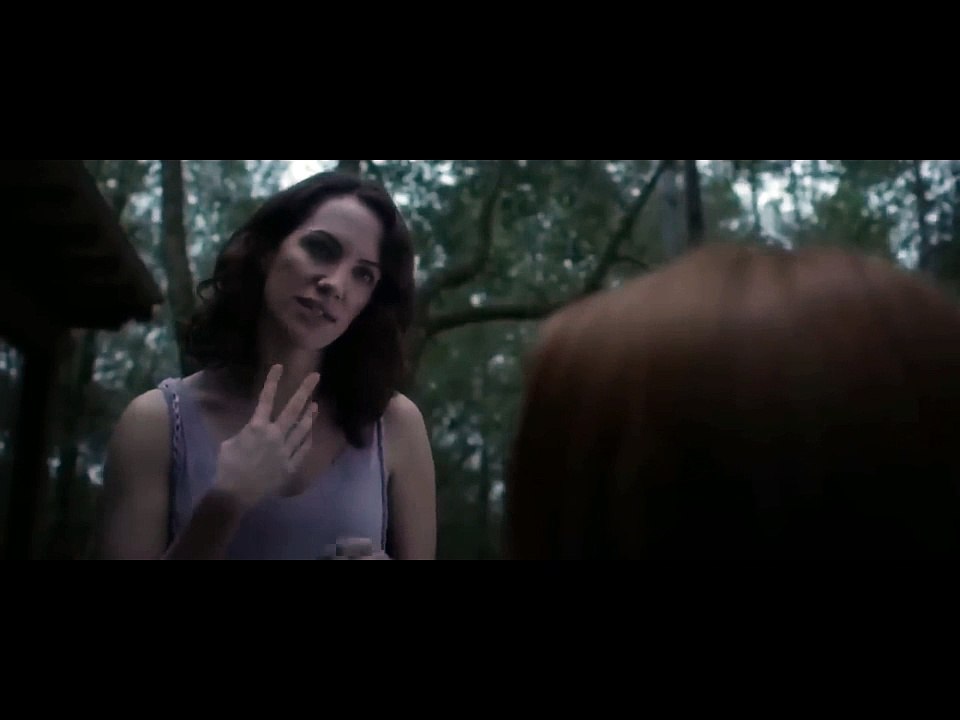 NOUVEAU FILMS HORREUR /Les Ombres Hantées