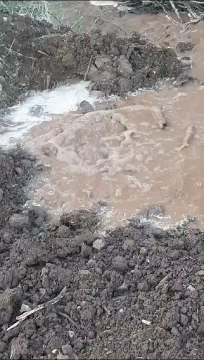 सैकड़ों लीटर पानी बर्बाद