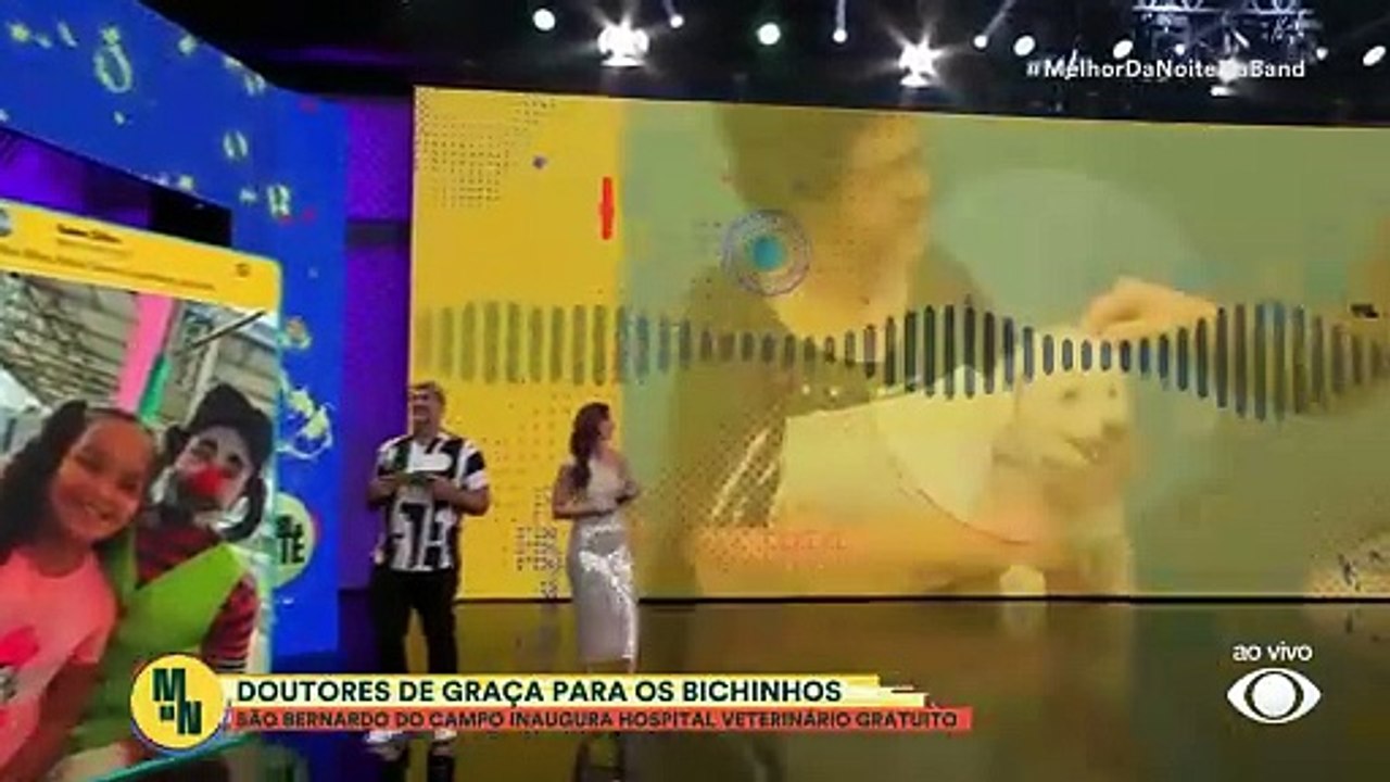 Pets em São Bernardo do Campo têm consultas gratuitas em hospital veterinário