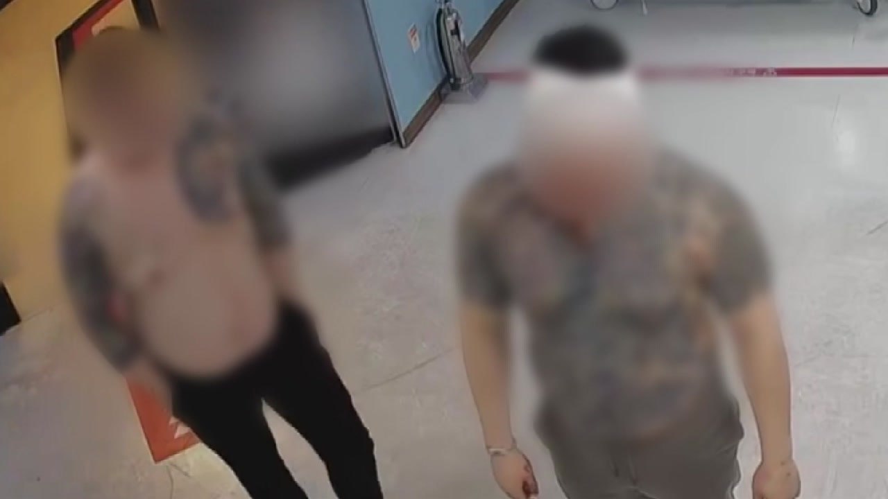 "여친 섬에 팔아버린다"...불법 대부 조폭 조직 4명 검거 / YTN