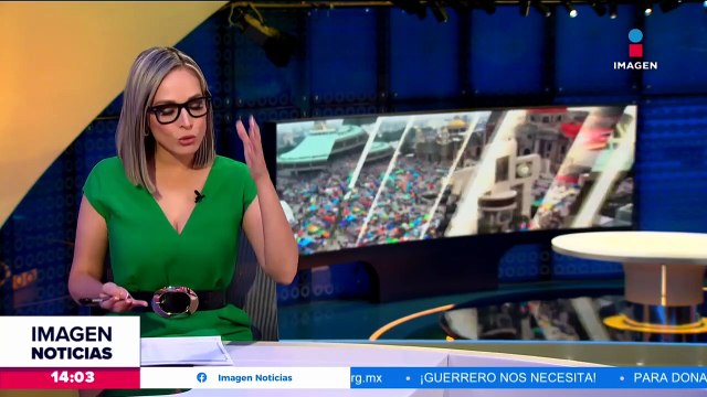 Peregrinos abandonan a perritos en las inmediaciones de la Basílica de Guadalupe
