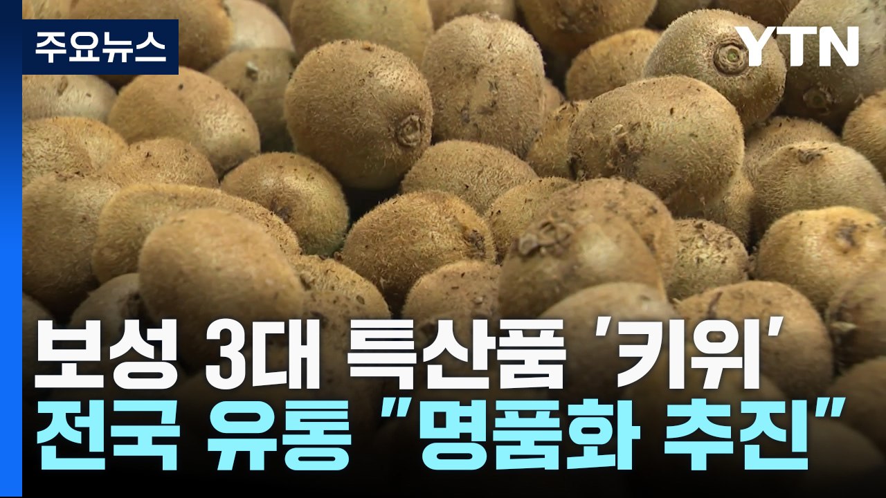보성 3대 특산품 '키위' 전국 유통..."명품화 추진" / YTN