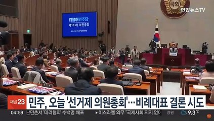 민주, 오늘 '선거제 의원총회'…비례대표 결론 시도