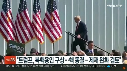 "트럼프, 북핵용인 구상…핵 동결-제재 완화 검토"