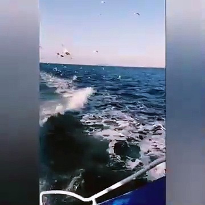 جولة في اسطنبول الاوروبية