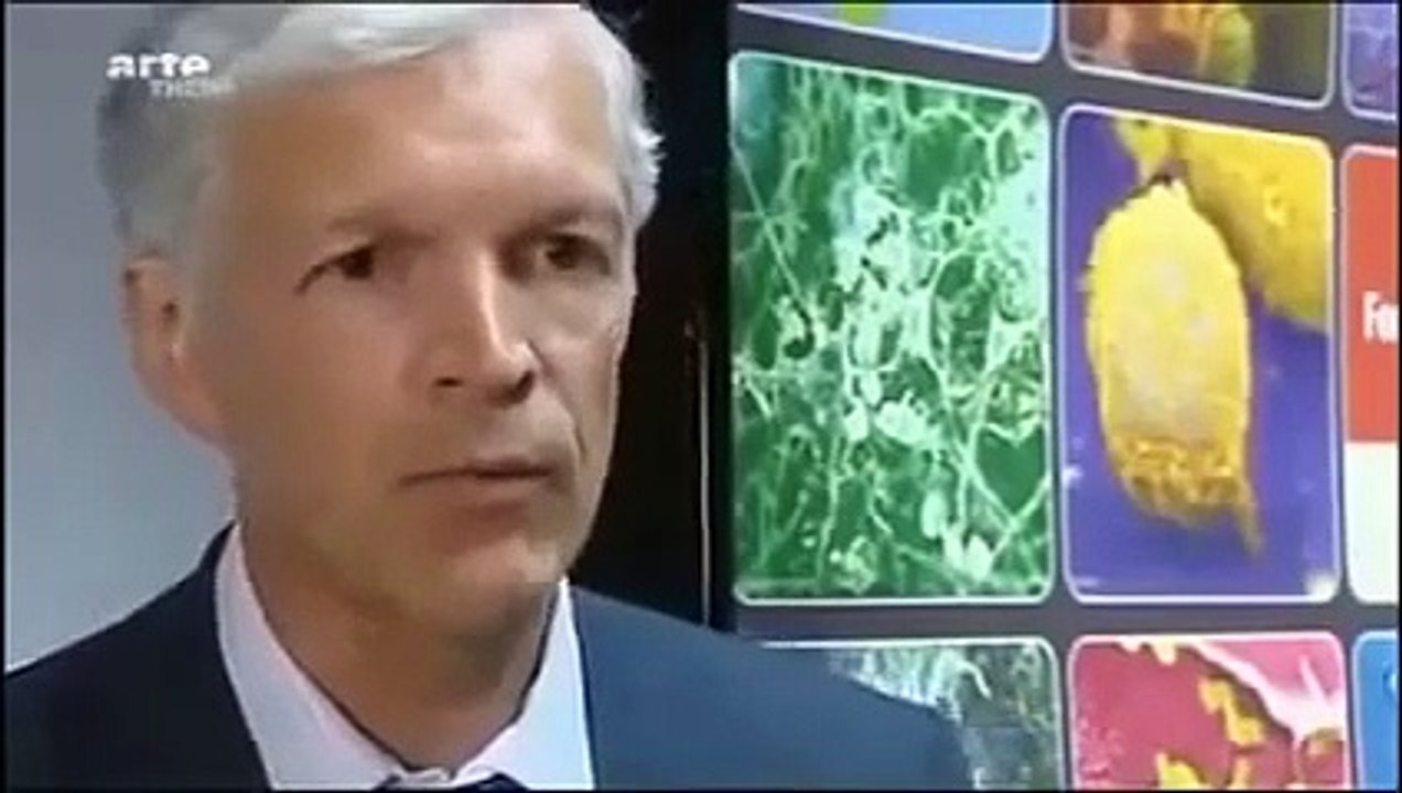 Profiteure der Angst