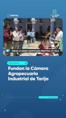 Fundan la Cámara Agropecuaria Industrial de Tarija