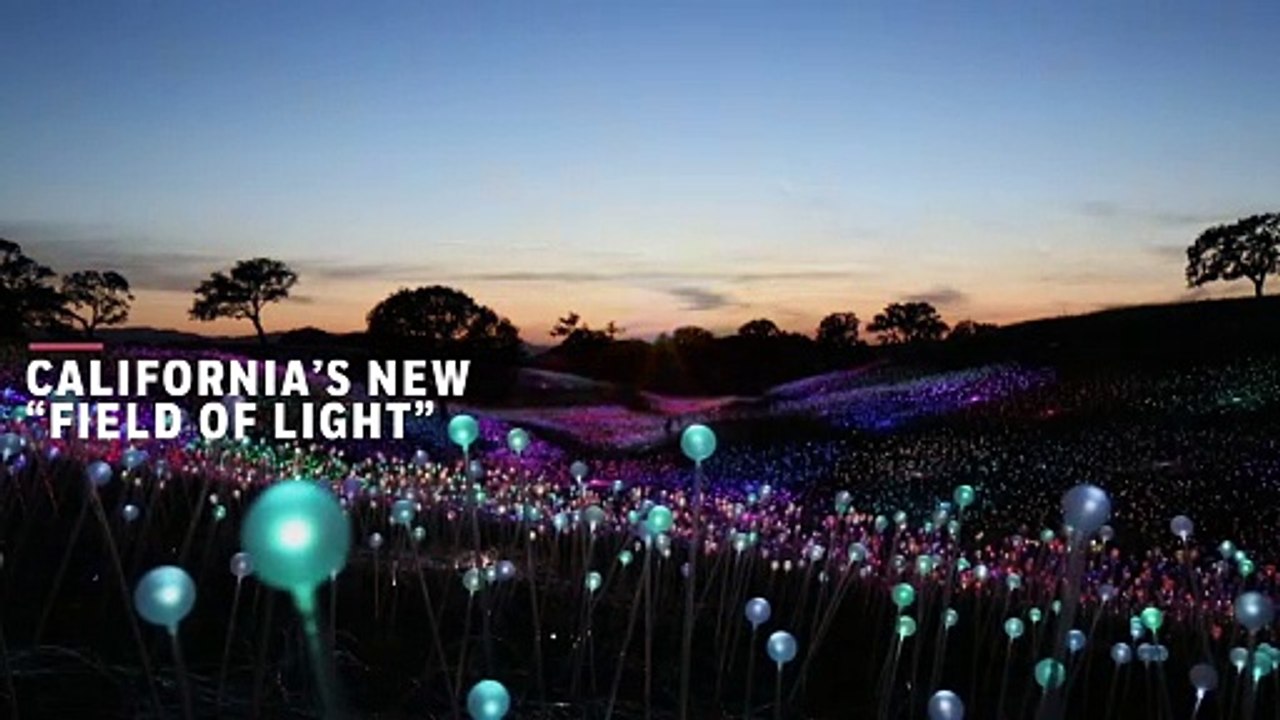 Why You Should Visit the Field of Lights in California video Dailymotion
