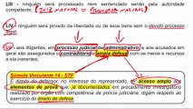 Aula 6.6 Direitos e Deveres Individuais e Coletivos Parte VI - DIREITO CONSTITUCIONAL