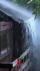 Relaxing Rain & Thunder Sounds for Calm & Stress Relief 🌧️