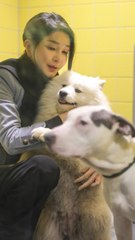 홍익표 "영부인 관심사라면서…與, 개식용 종식법 처리엔 불참"