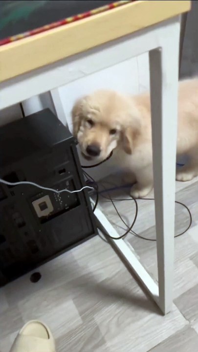 I didn't do anything...