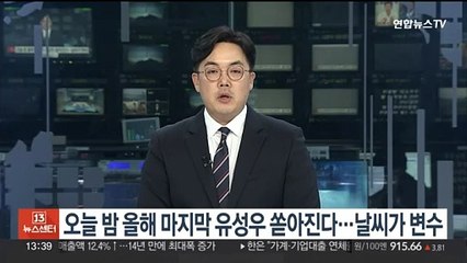 오늘밤 올해 마지막 유성우 쏟아진다…관측엔 날씨가 변수