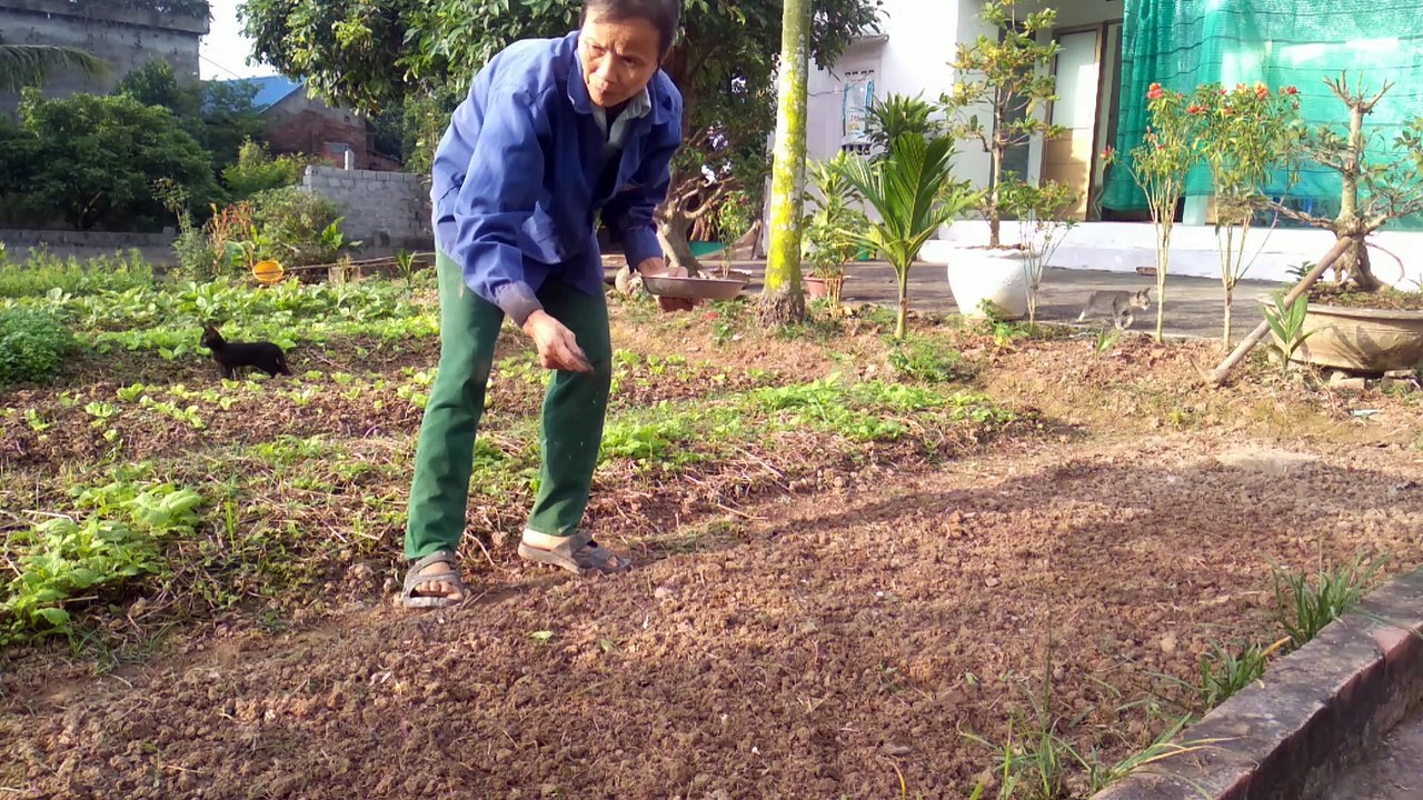farmer  gardening and meow meow