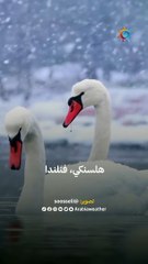للشتاء نكهة مُختلفة حين تنمزج طقوسه مع الطبيعة الجميلة | مشاهد فصل الشتاء في أوروبا