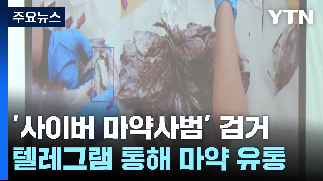 텔레그램으로 국경 초월...사이버 마약사범 무더기 검거 / YTN