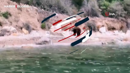 Yalova Armutlu'da bir anda kayıtlara geçti! Böyle görüntülendi