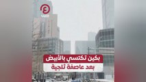 بكين تكتسي بالأبيض بعد عاصفة ثلجية