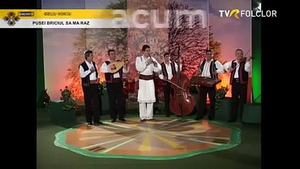 Gelu Voicu - Pusei briciul sa ma raz (arhiva TVR)