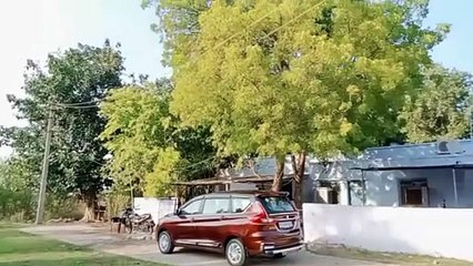 कॉलोनी में पेंथर का डेरा, आए दिन दे रहा घरों पर दस्तक