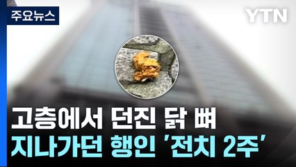 고층에서 던진 치킨에 전치 2주...잡고 보니 초등생 / YTN
