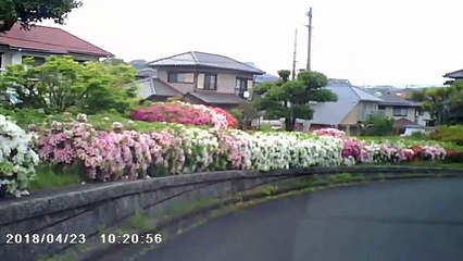 Apr.23/2018-Take pictures with the dashboard camera while driving.