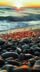 Beauty of nature || Natural Photography video