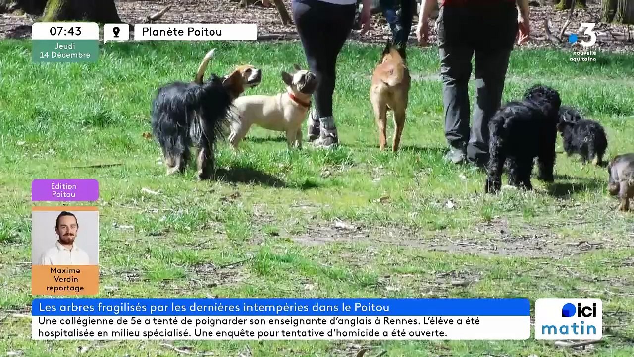 14/12/2023 - Le 6/9 de France Bleu Poitou en vidéo