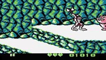 Battletoads (Gameboy)