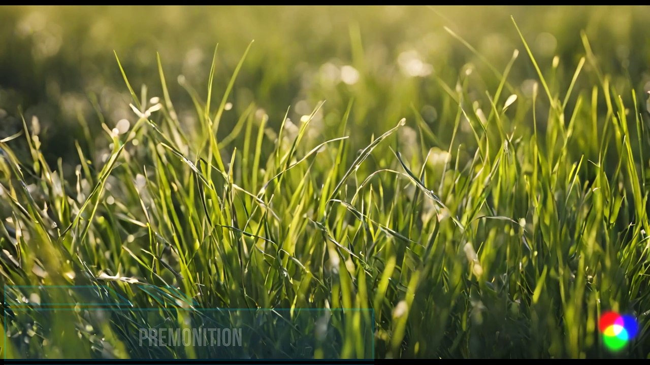 Premonition. Relaxing music