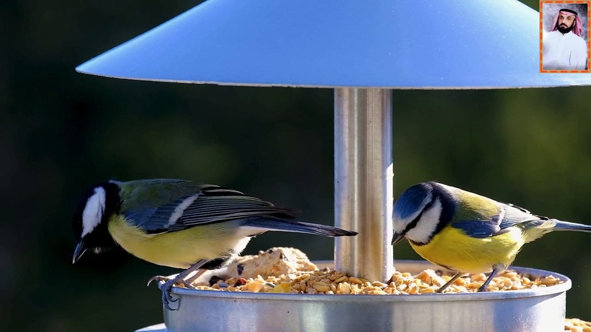 ⁣قرآن الكريم بصوت خاشع