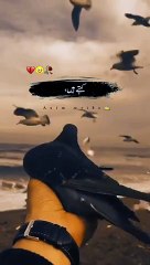 Whatsapp_sad_status__Urdu_poetry_✨_broken_heart_poetry__#youtubeshorts_#ytshorts_#shorts#youtube(360p)
