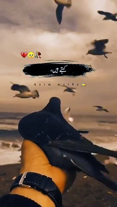 Whatsapp_sad_status__Urdu_poetry_✨_broken_heart_poetry__#youtubeshorts_#ytshorts_#shorts#youtube(360p)