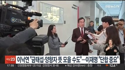 이낙연 "금태섭·양향자 뜻 모을 수도"…이재명 "단합 중요"
