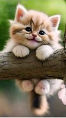 #ai #cut #for_you #art