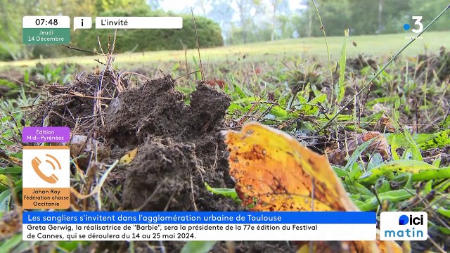 QUART D'HEURE TOULOUSAIN - Johan Roy de la fédération de chasse d'Occitanie